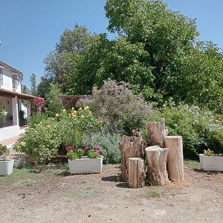 فيلا Casa Rural La Maquinilla غراثاليما المظهر الخارجي الصورة