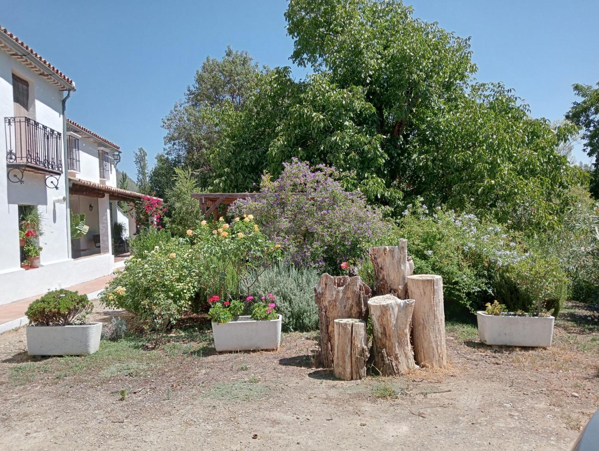 Casa Rural La Maquinilla غراثاليما المظهر الخارجي الصورة
