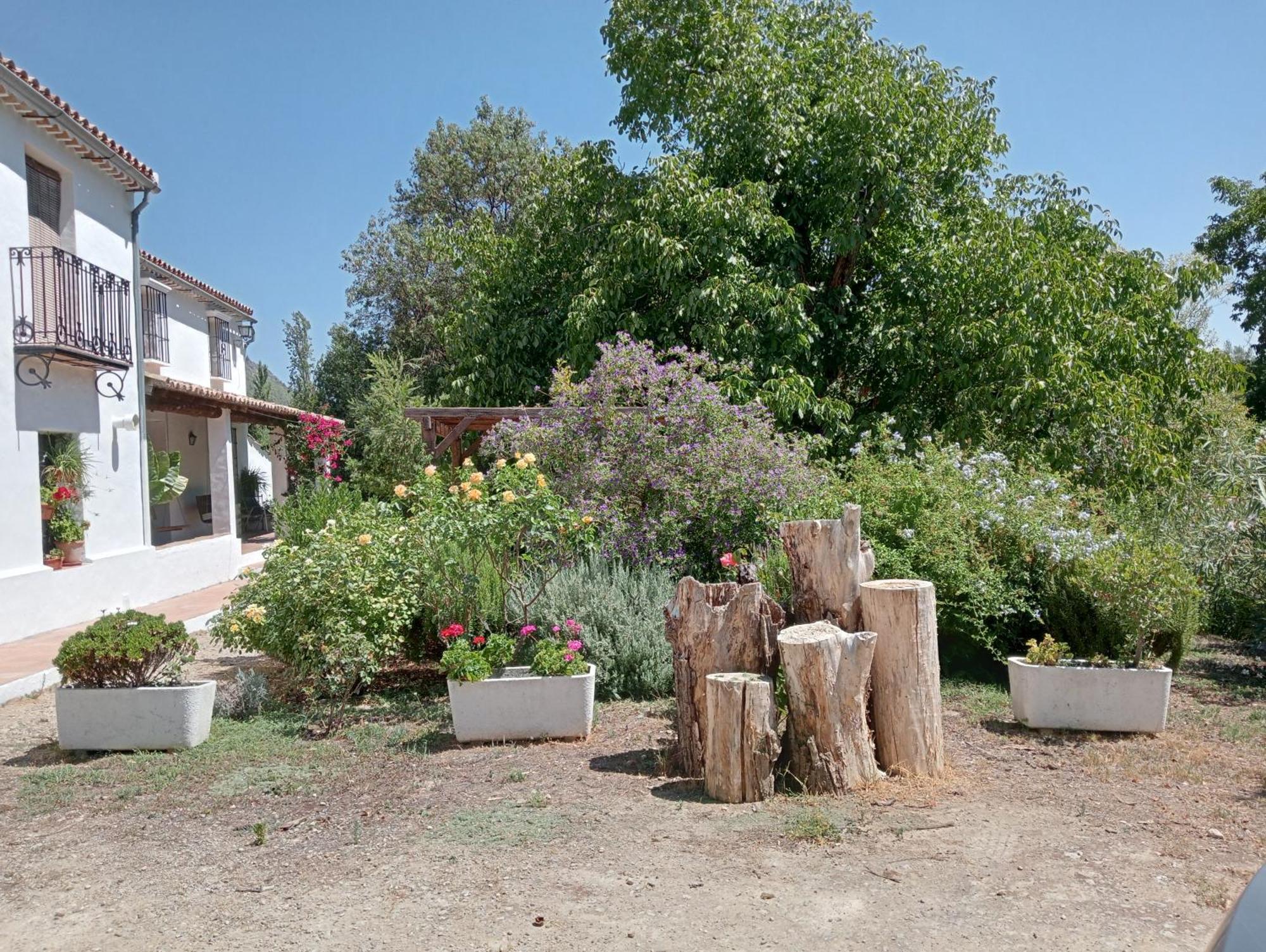 فيلا Casa Rural La Maquinilla غراثاليما المظهر الخارجي الصورة