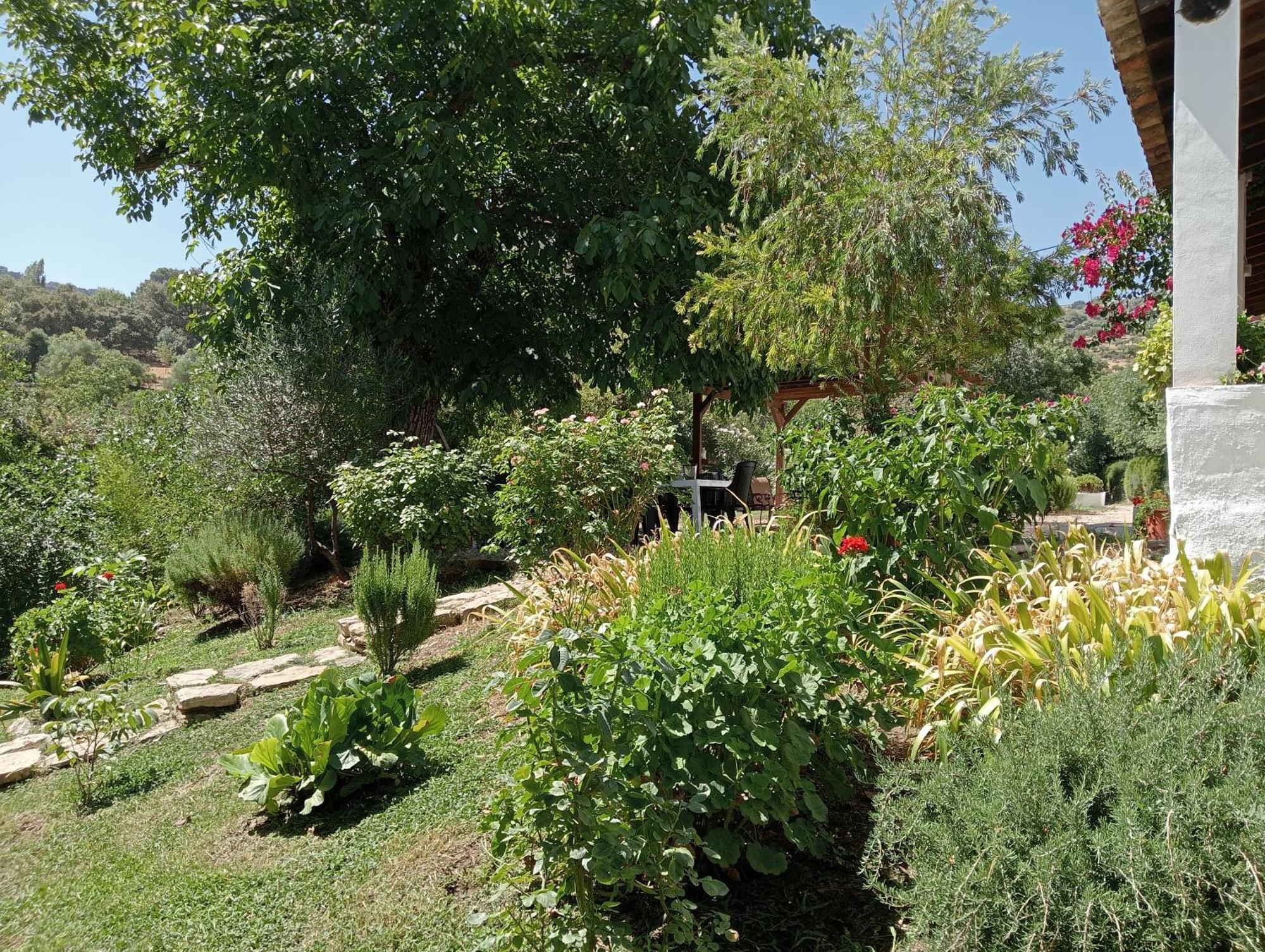 Casa Rural La Maquinilla غراثاليما المظهر الخارجي الصورة