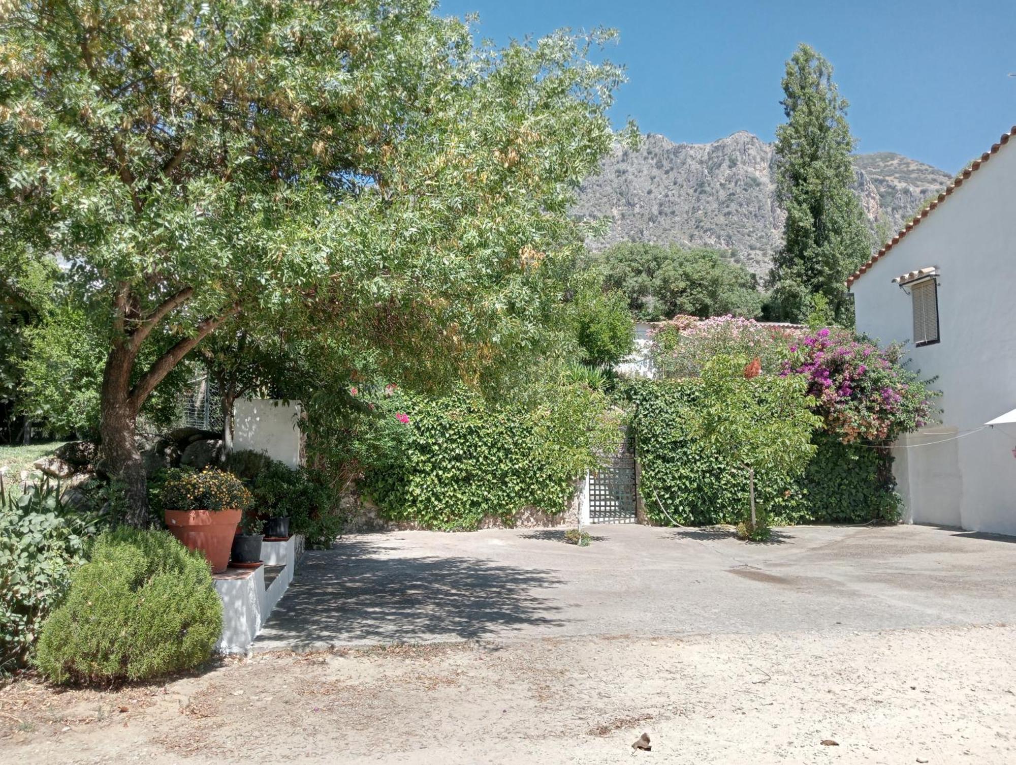 Casa Rural La Maquinilla غراثاليما المظهر الخارجي الصورة