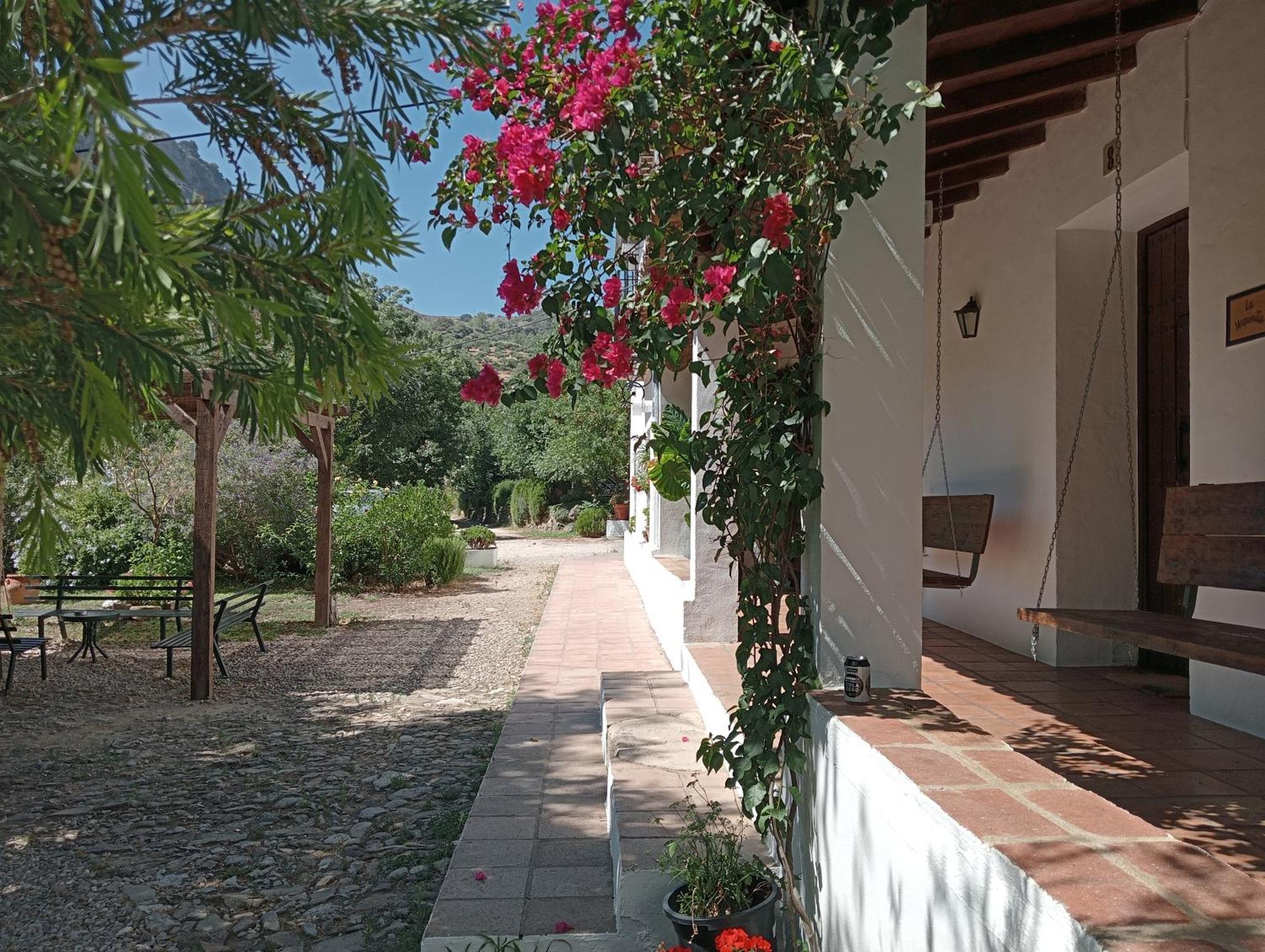 Casa Rural La Maquinilla غراثاليما المظهر الخارجي الصورة