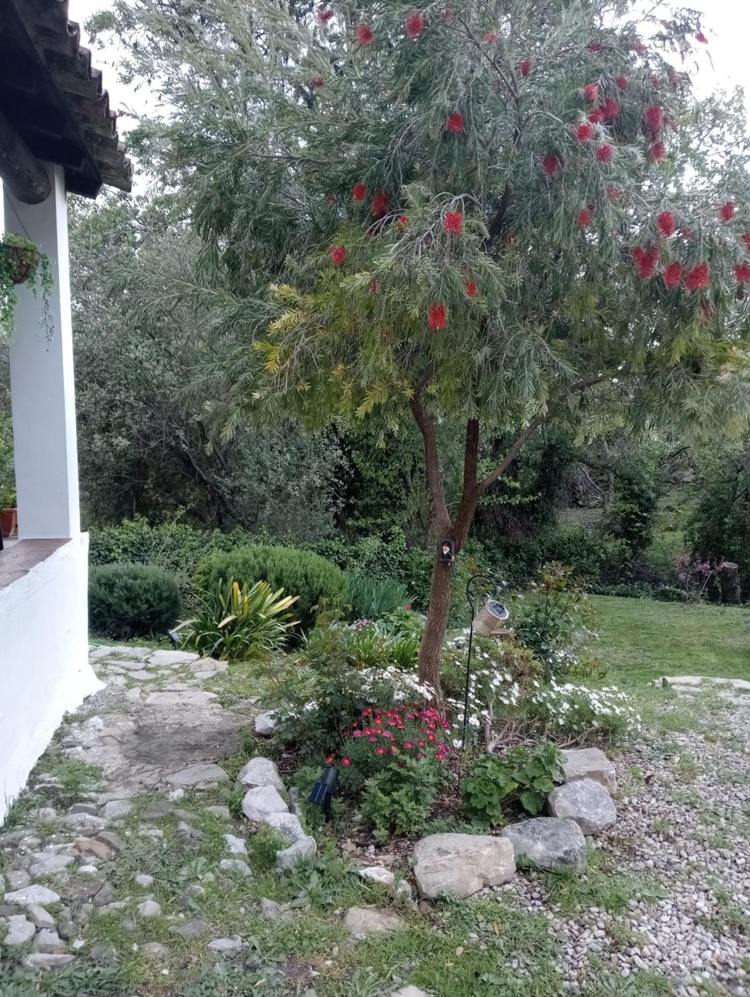 Casa Rural La Maquinilla غراثاليما المظهر الخارجي الصورة
