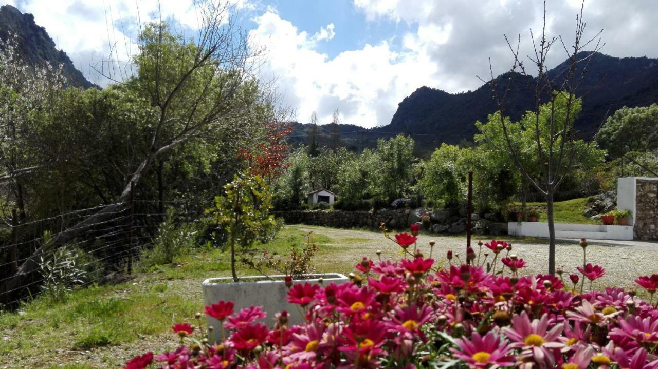 Casa Rural La Maquinilla غراثاليما المظهر الخارجي الصورة
