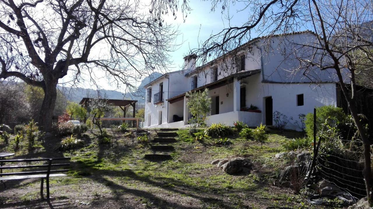 Casa Rural La Maquinilla غراثاليما المظهر الخارجي الصورة